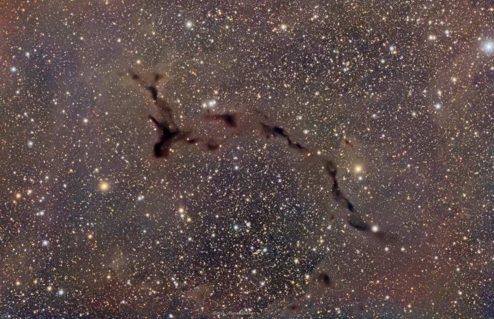 LDN 1082 - Seahorse Dark Nebula by Girish Muralidharan 