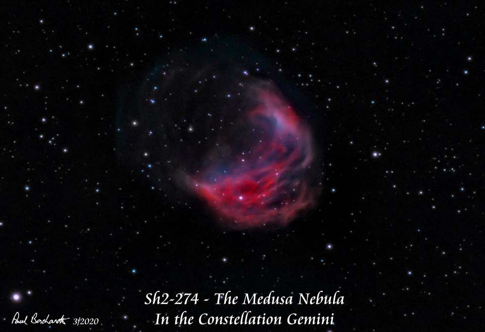 Sh2-274 - The Medusa Nebula HOO by Paul Borchardt 