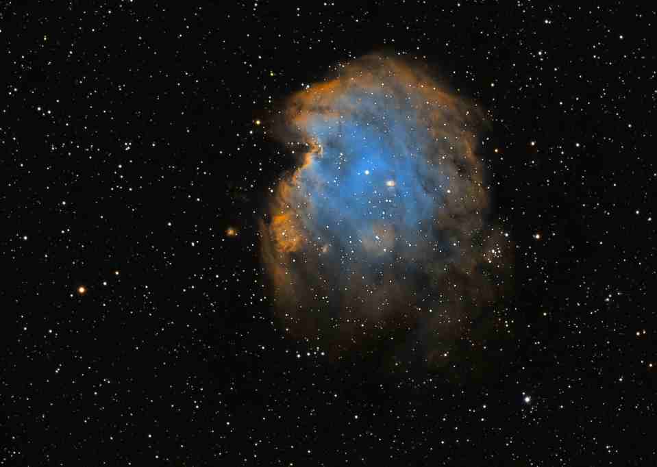 NGC 2174 - Monkey Head Nebula by Dennis Roscoe 