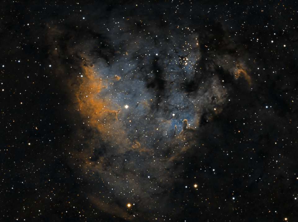 NGC 7822 by Dennis Roscoe 