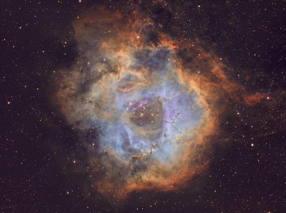 Rosette Nebula SHO by Arun Hegde 