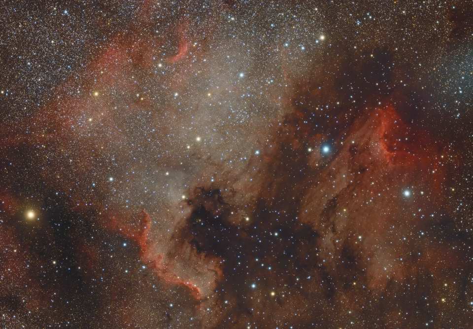 The North America and Pelican Nebulas by Arun Hegde 