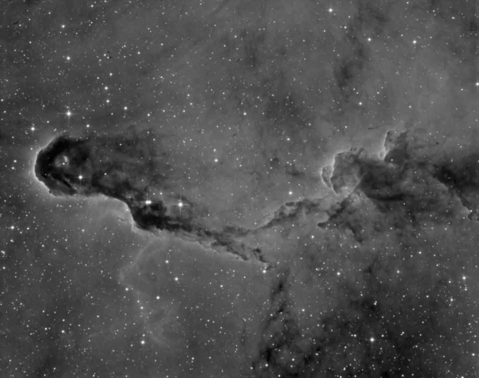 IC 1396A - The Elephant's Trunk Nebula by Gabe Shaughnessy 