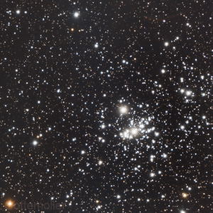 A Closeup View of the Double Cluster by William Gottemoller 