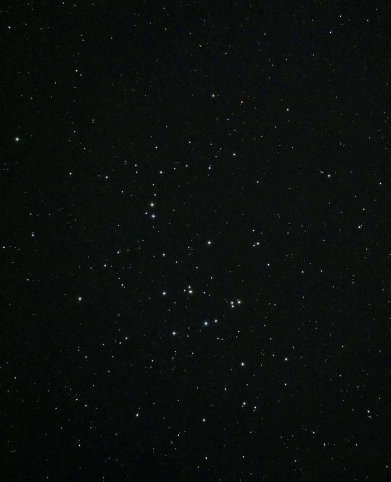 M44 - Beehive Cluster  
