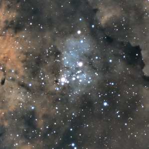NGC 6910 and Surrounding Clouds of IC 1318 in Cygnus by William Gottemoller 